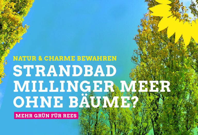 Baumfällungen am Strandbad Millinger Meer