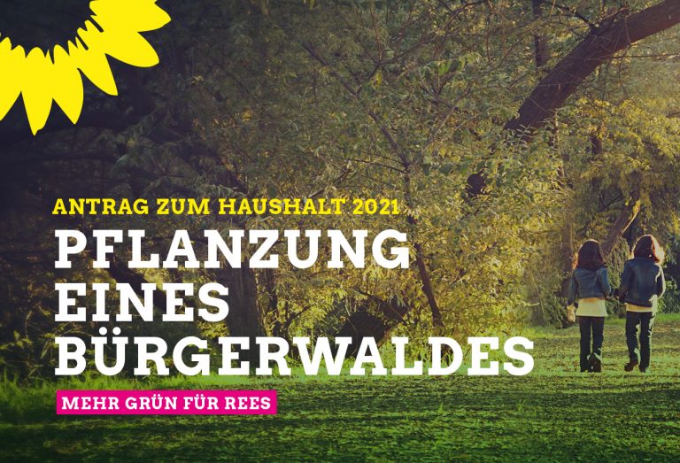 Antrag zum Haushalt 2021: Pflanzung eines Bürgerwaldes